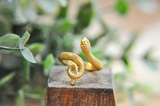 Snake ring 2